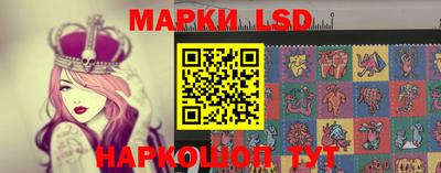 прущие грибы Гатчина