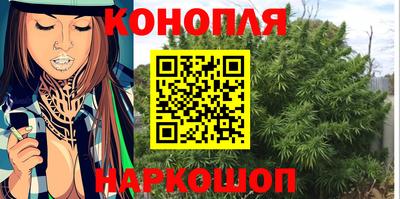 прущие грибы Гатчина