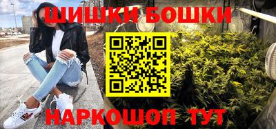 прущие грибы Гатчина