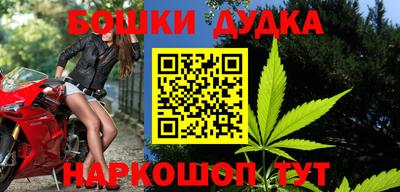 ECSTASY Гай