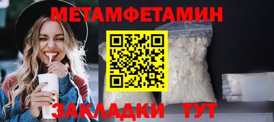 прущие грибы Гатчина