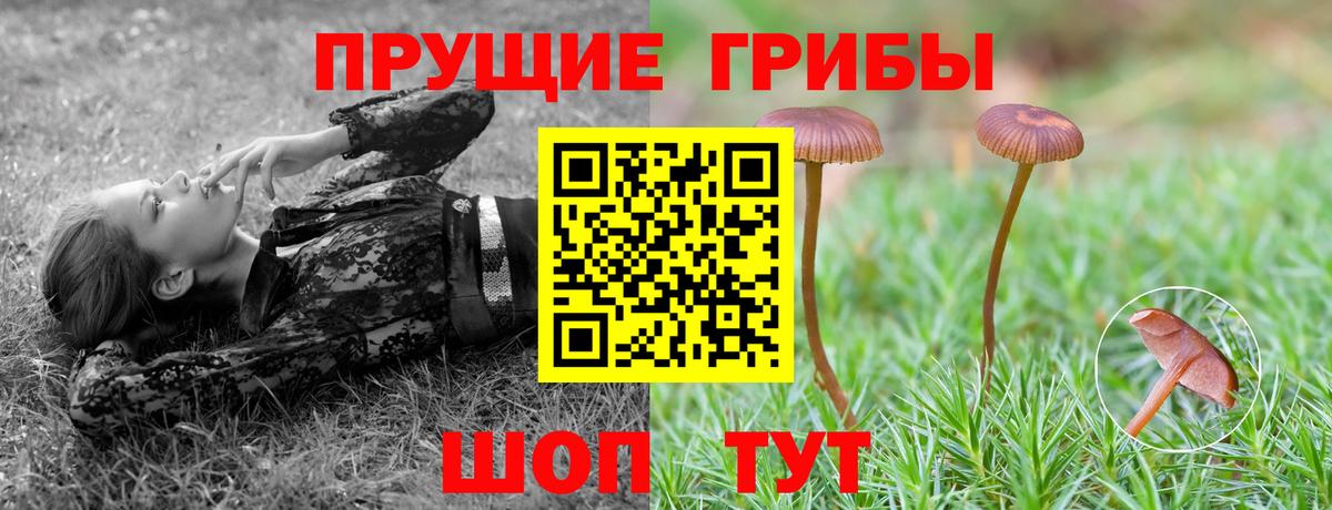 Псилоцибиновые грибы GOLDEN TEACHER Красноперекопск